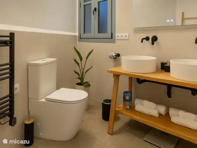 Ruime badkamer met inloopdouche, toilet, wastafel met 2 wasbakken, spiegel met light en warmte tegen beslaan, toiletartikelen.